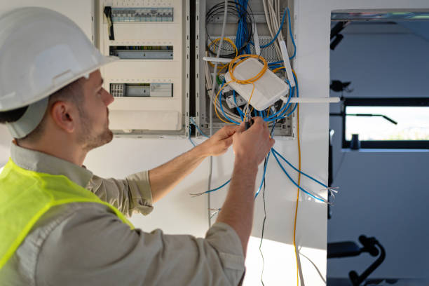 Best Electric Panel Repair  in St Paul, MO
